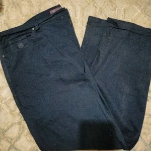 Blue Gloria Vanderbilt Amanda Jeans Size 22